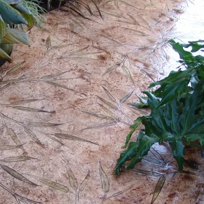 Concreto-estampado-ingreso-a-jardin-con-textura-bamboo